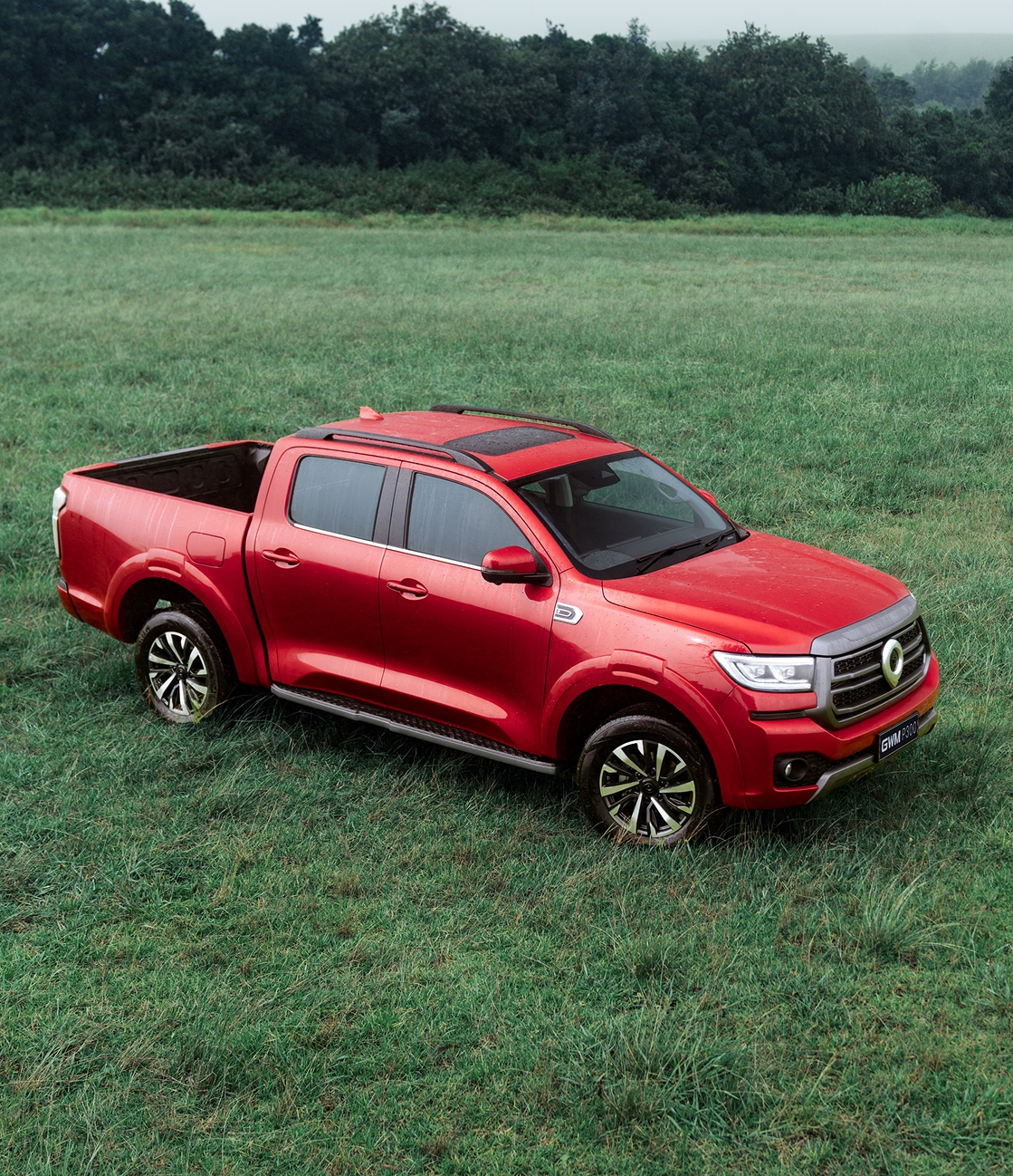GWM P300