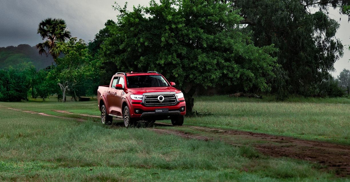 GWM P300